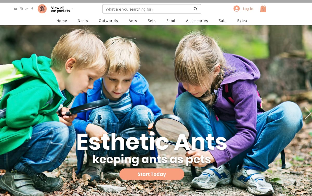 code promo esthetic ants
